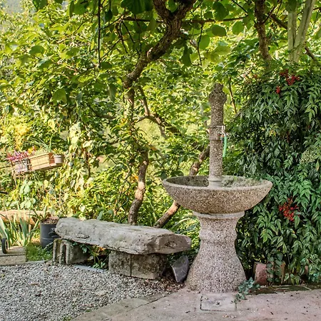 Large Terrace & Outdoor Kitchen Gadica