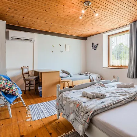 Apartment Large Terrace & Outdoor Kitchen Gadica Tolmin
